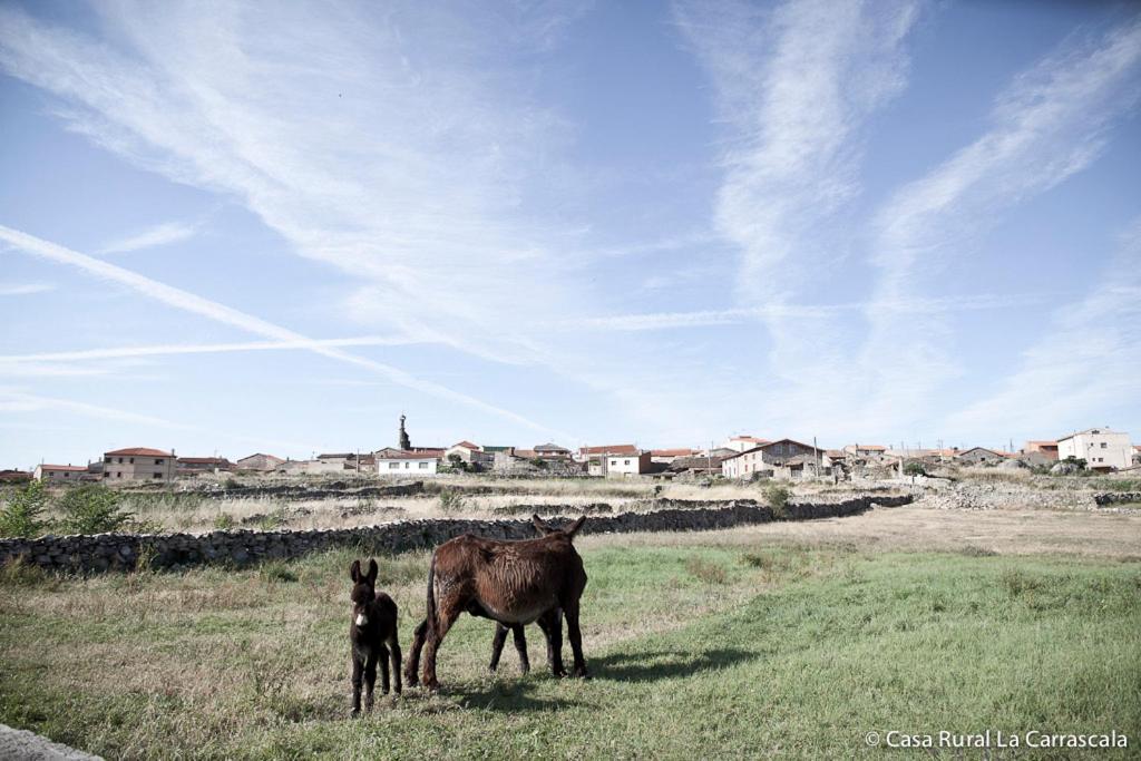 Casa Rural La Carrascala Zamora Luaran gambar
